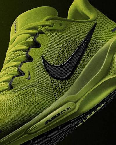 Nike Pegasus 41